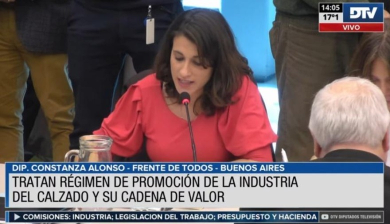 Dictamen al proyecto para crear el régimen de promoción de la industria del calzado