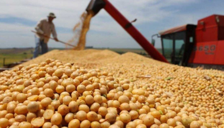 El Gobierno volvió a subir las retenciones a la soja, maíz y girasol