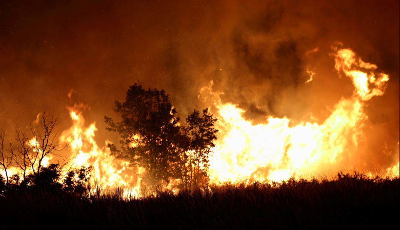 El gobierno declaró la emergencia ígnea en cuatro provincias patagónicas