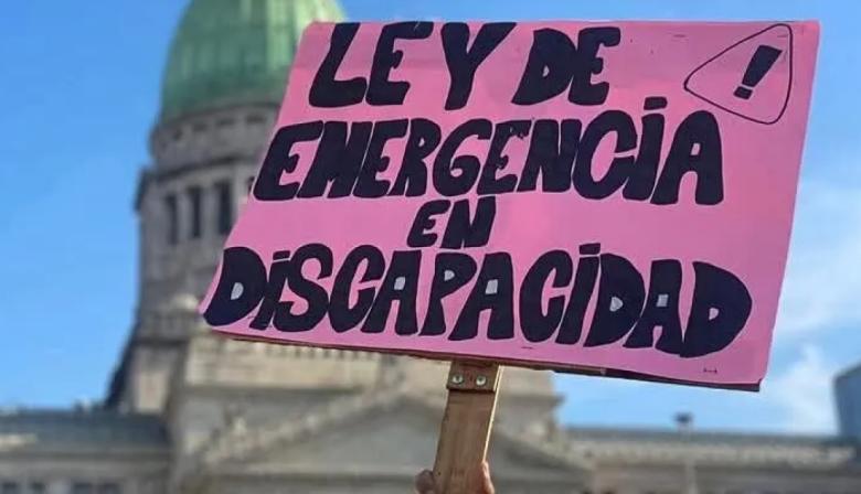 El Gobierno reglamentó la Ley de Emergencia en Discapacidad