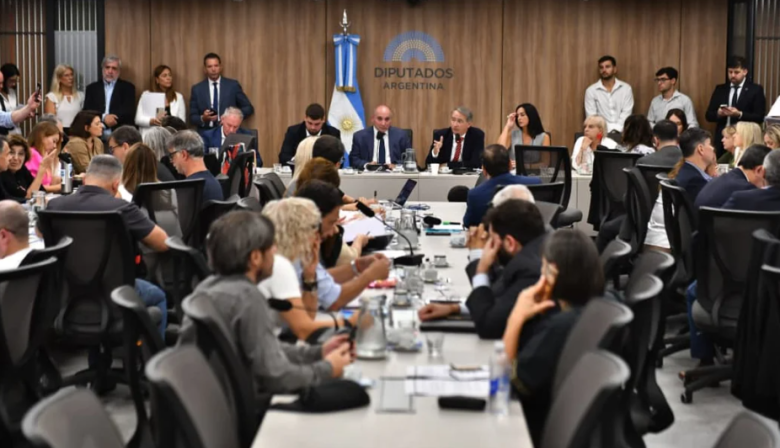 Comienzan las audiencias por la reforma de la Ley de Glaciares con fuerte polémica