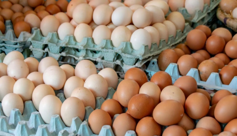 Argentina lidera el consumo mundial de huevo: cada habitante come casi 400 por año