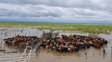 ARCA da alivio impositivo a productores bonaerenses afectados por inundaciones