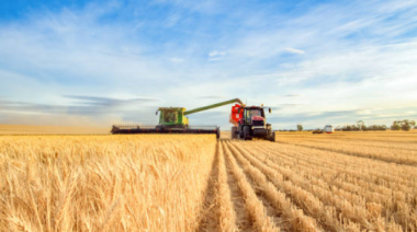 El Gobierno elimina retenciones a todos los granos hasta el 31 de octubre