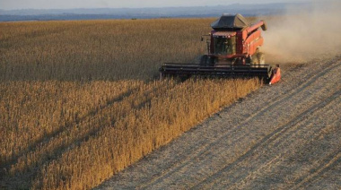 El Gobierno oficializó una baja de retenciones para soja, cereales y oleaginosas