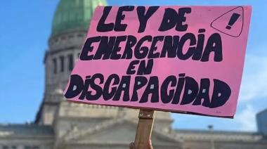 El Gobierno reglamentó la Ley de Emergencia en Discapacidad