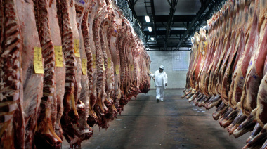 Las exportaciones de carne bovina crecieron 10% en el primer semestre del año