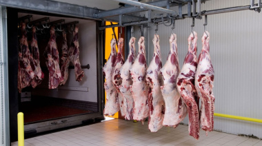 EE.UU. habilitó 300.000 toneladas extra de carne, pero Argentina quedó afuera